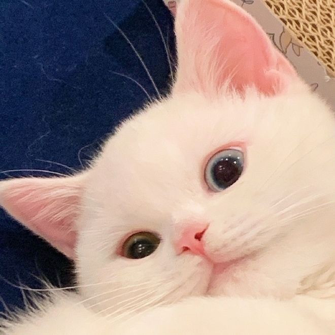 관심 유저 프로필 이미지