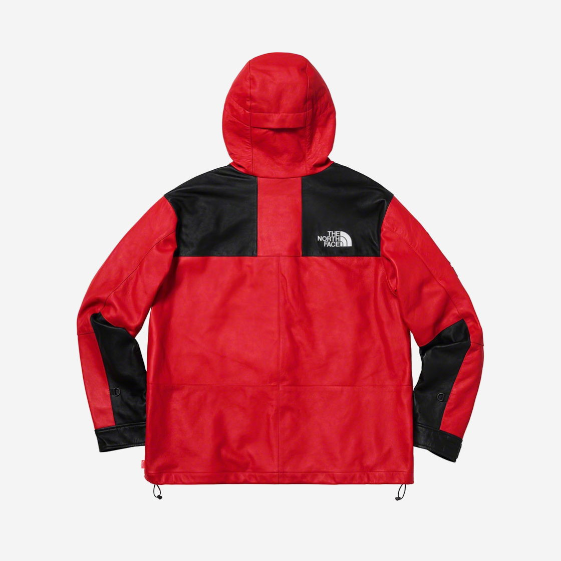 Supreme x the north face leather mountain sales parka