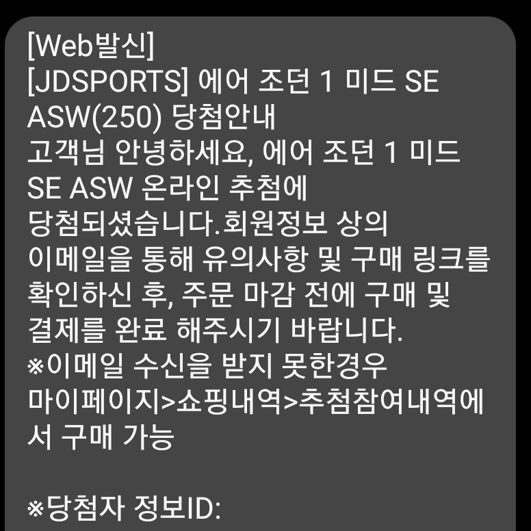 Jordan 1 Mid SE ASW Black 착용 스타일