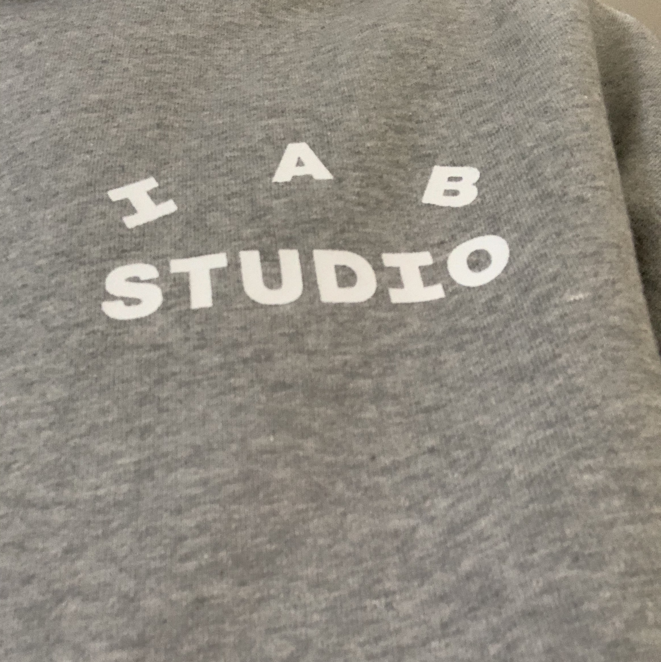 IAB Studio Hoodie Gray - 21SS 착용 스타일