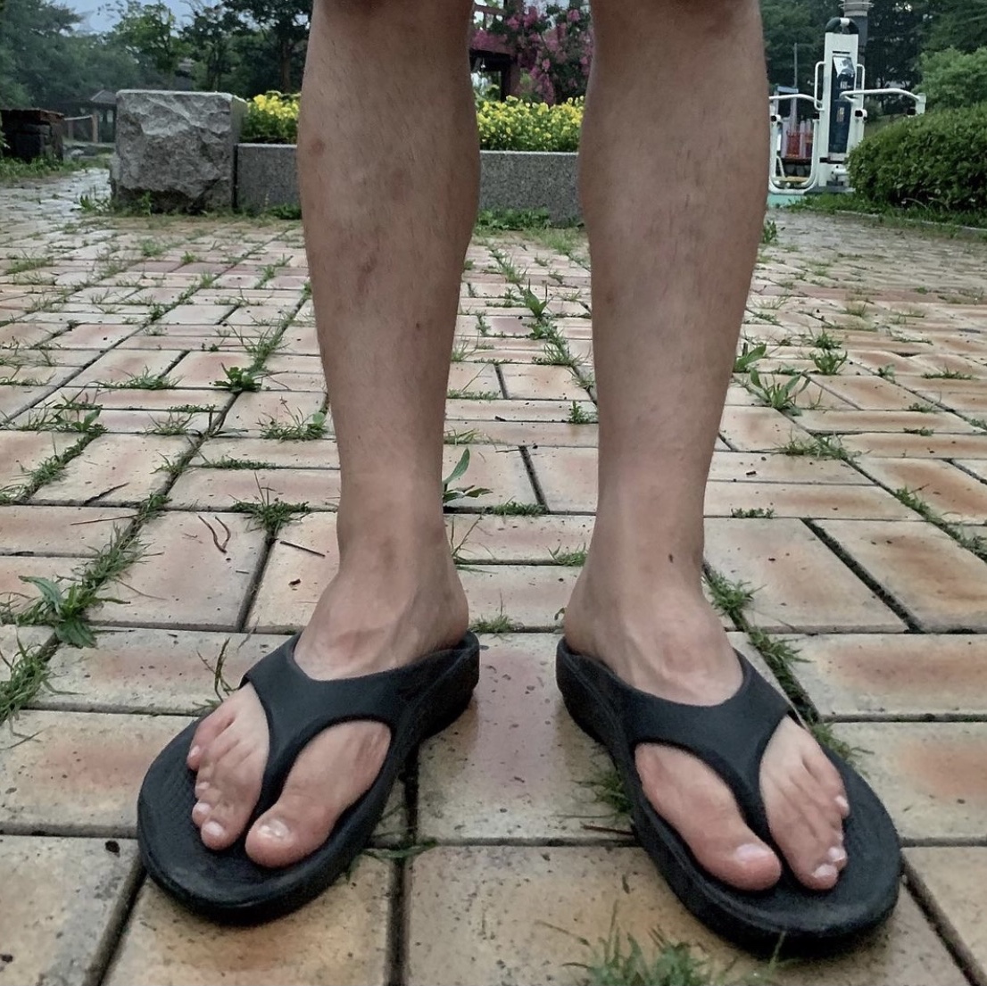 신발창꼬님의 스타일