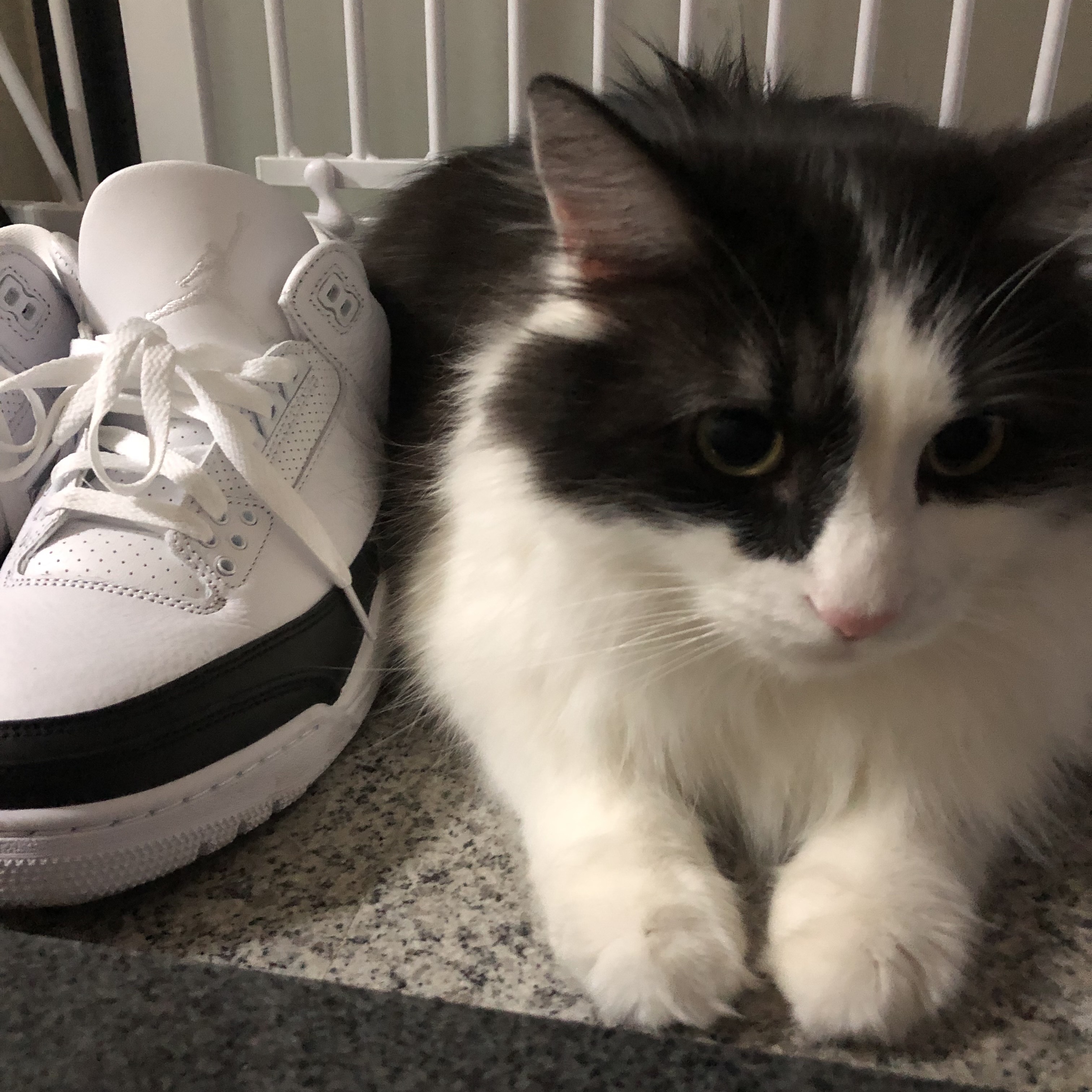 Jordan 3 x Fragment Retro SP White Black 착용 스타일