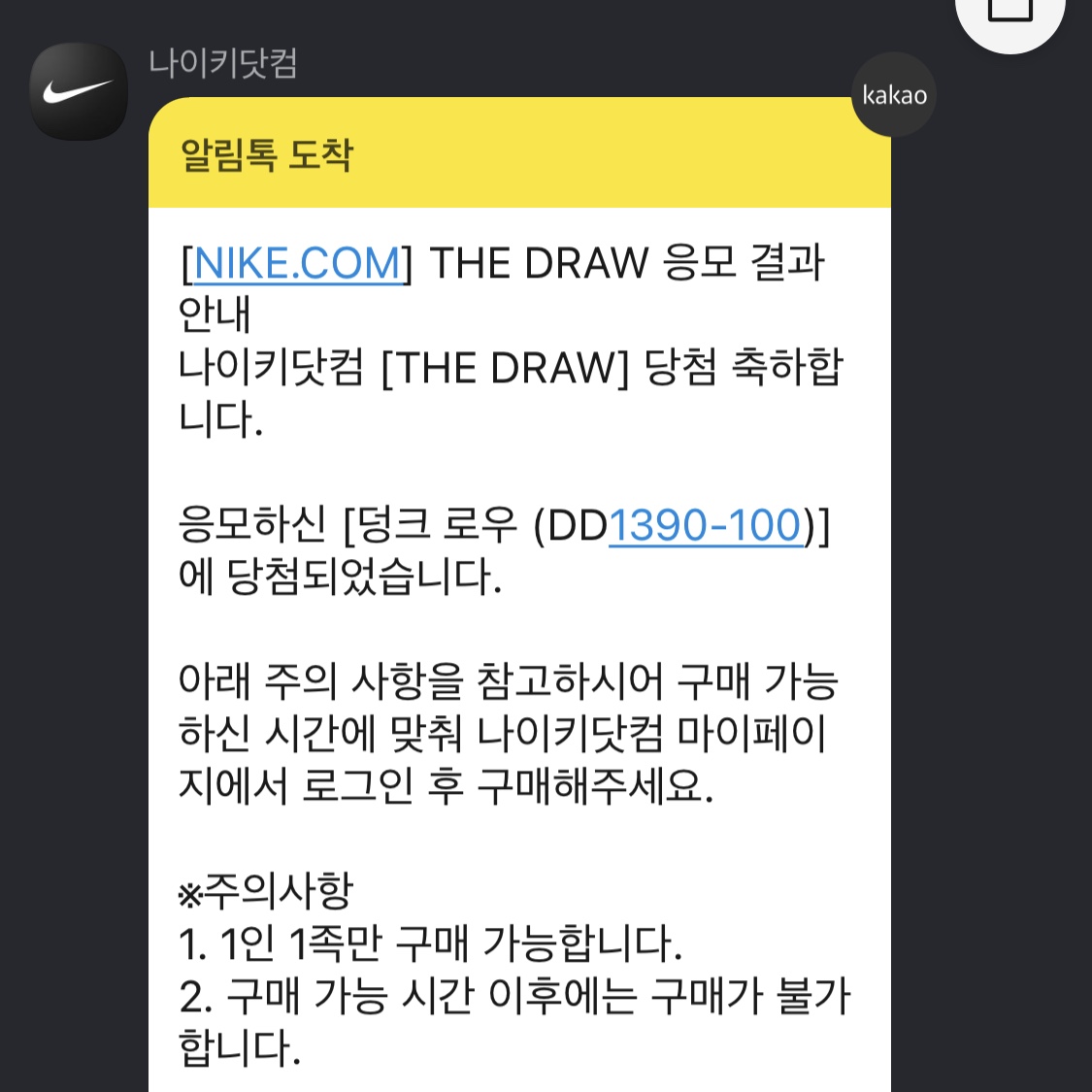 Nike Dunk Low Pro Premium Medium Curry 착용 스타일
