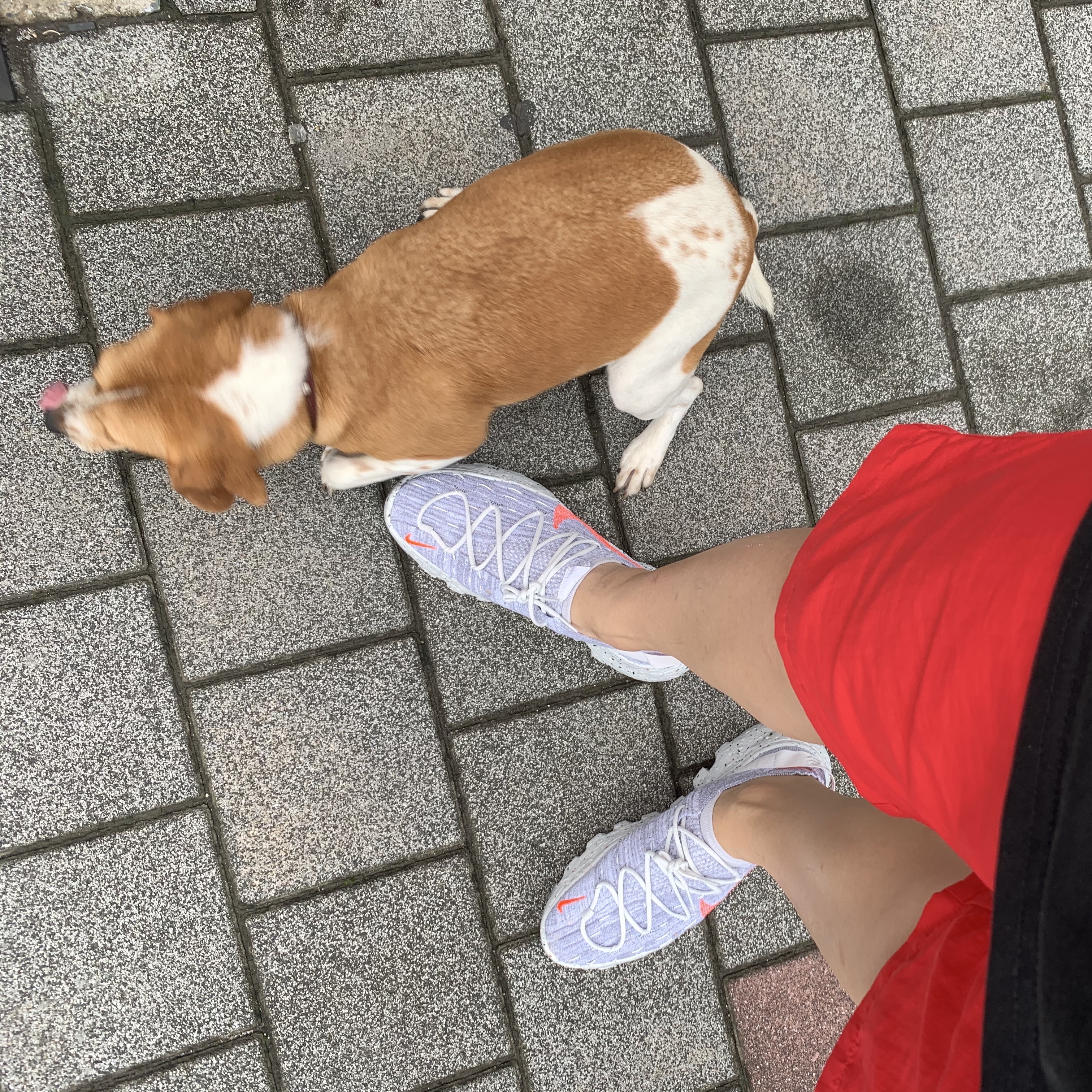 (W) Nike Space Hippie 04 Summit White Hyper Crimson 착용 스타일 - 2