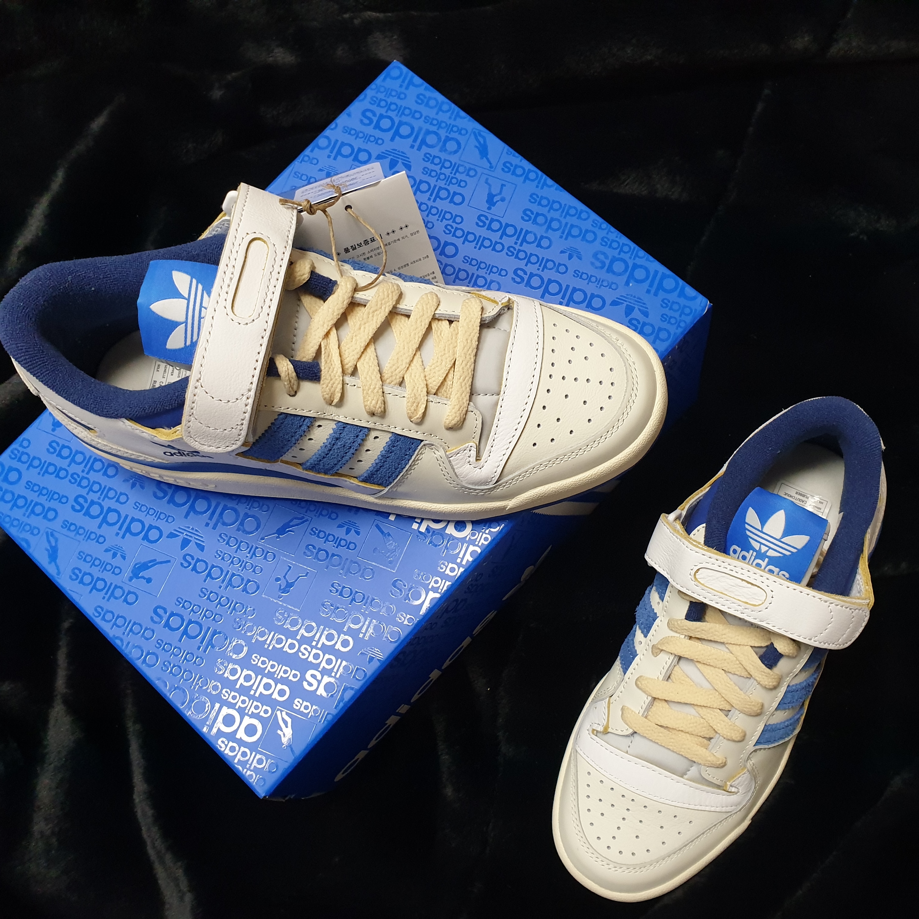 Adidas OG Forum 84 Low Blue Thread 착용 스타일 - 1