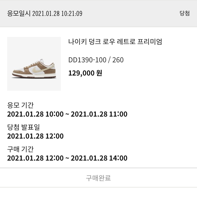 Nike Dunk Low Pro Premium Medium Curry 착용 스타일
