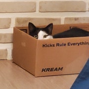 KREAM 프로필 이미지