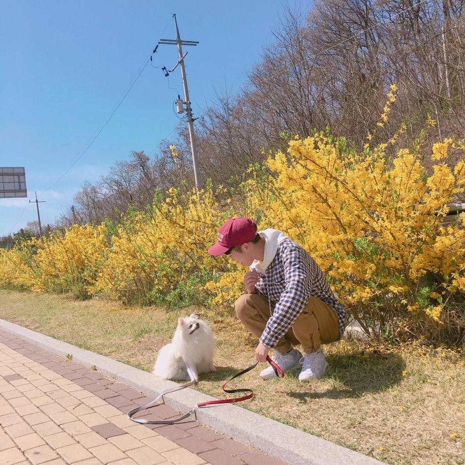 HALO님의 스타일