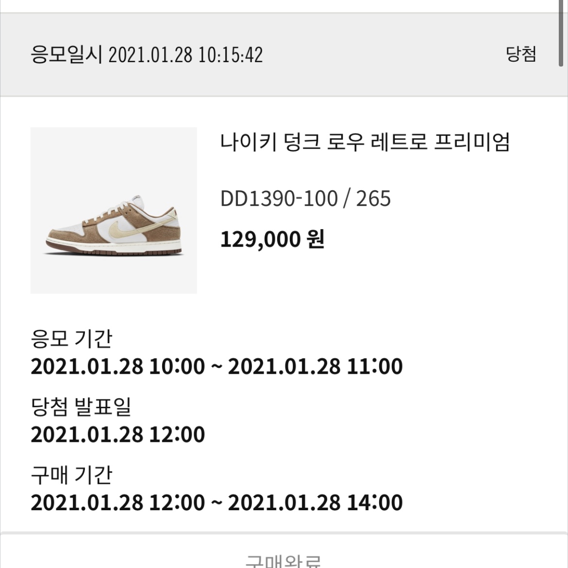 Nike Dunk Low Pro Premium Medium Curry 착용 스타일