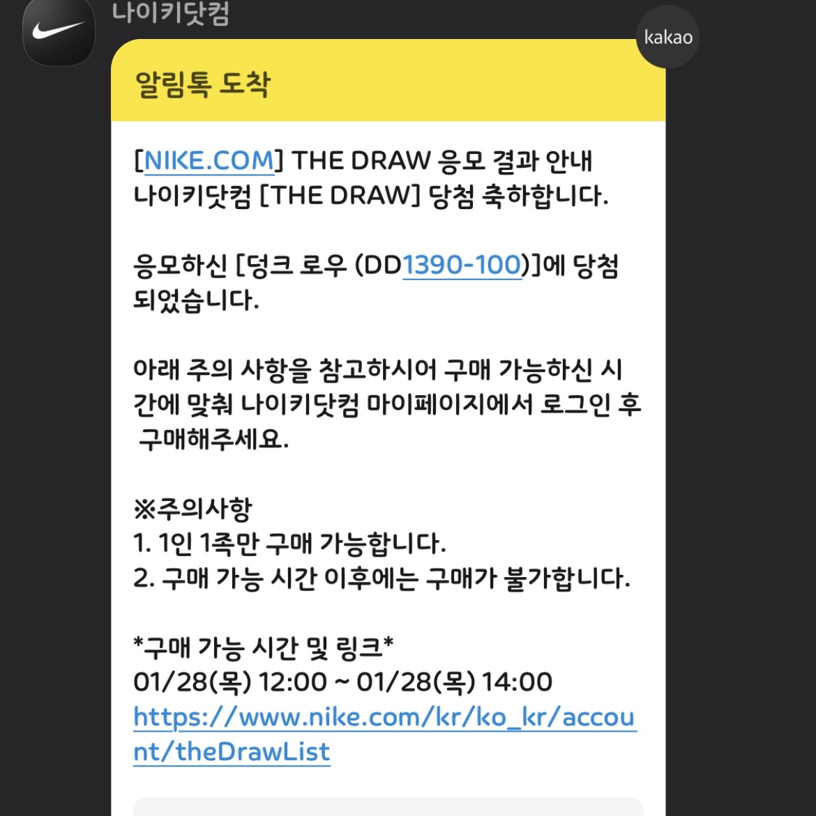 Nike Dunk Low Pro Premium Medium Curry 착용 스타일 - 1