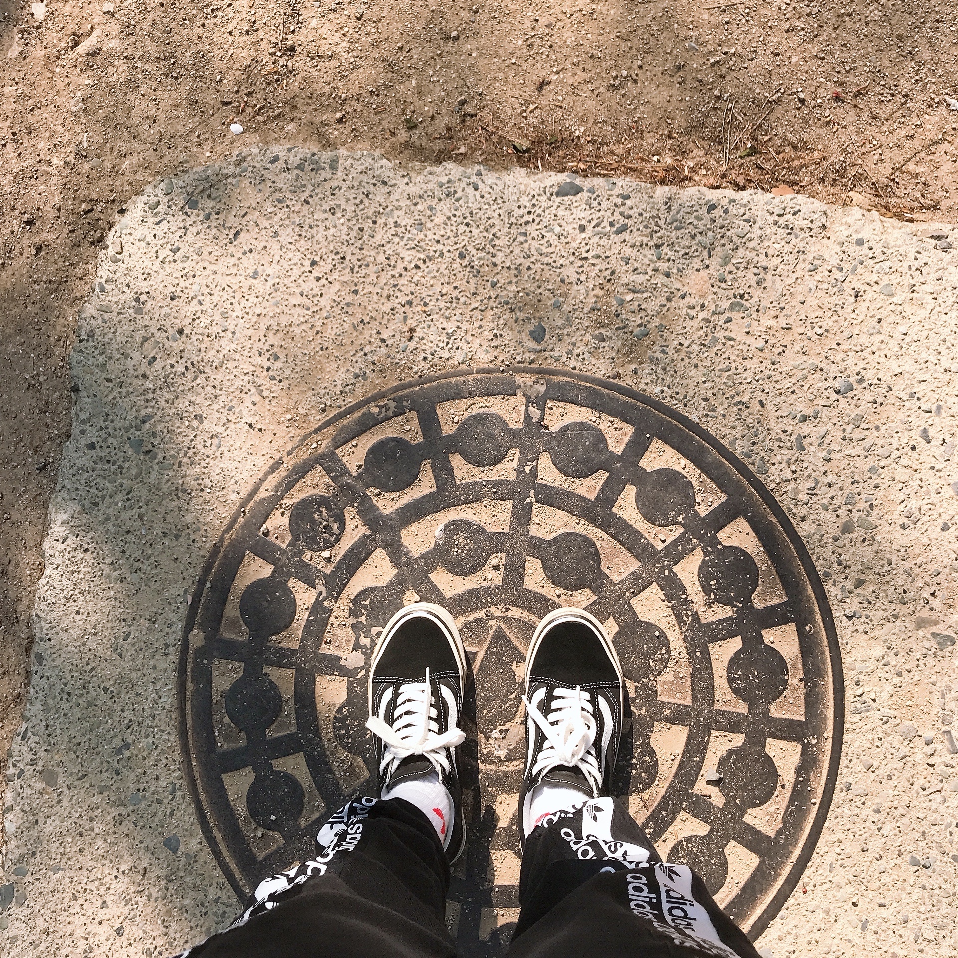 Vans Old Skool 36 DX Anaheim Factory Black White 착용 스타일
