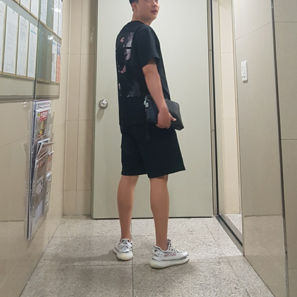 Adidas Yeezy Boost 350 V2 Zebra 2017/2019/2020 착용 스타일