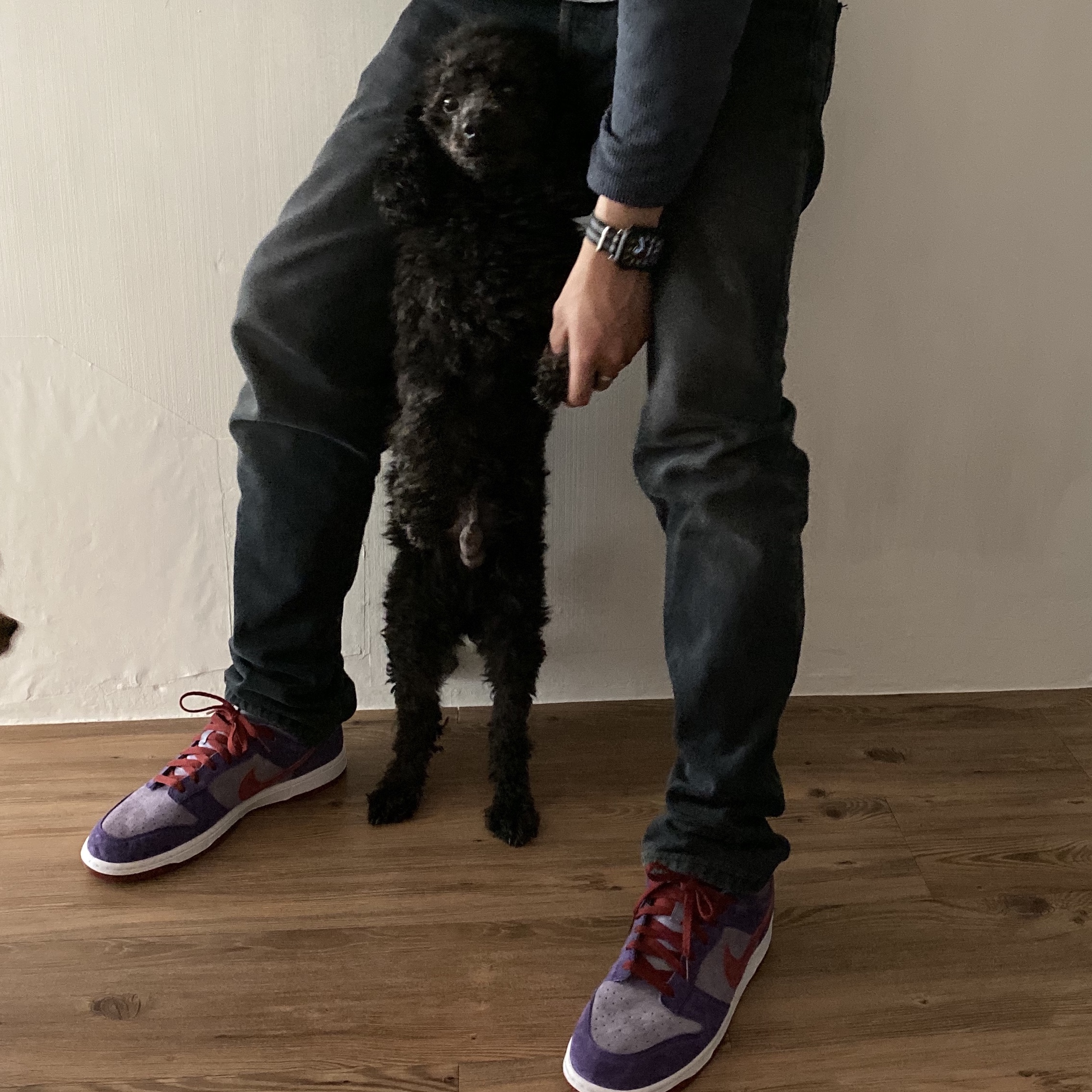 Nike Dunk Low SP Plum 2020 착용 스타일