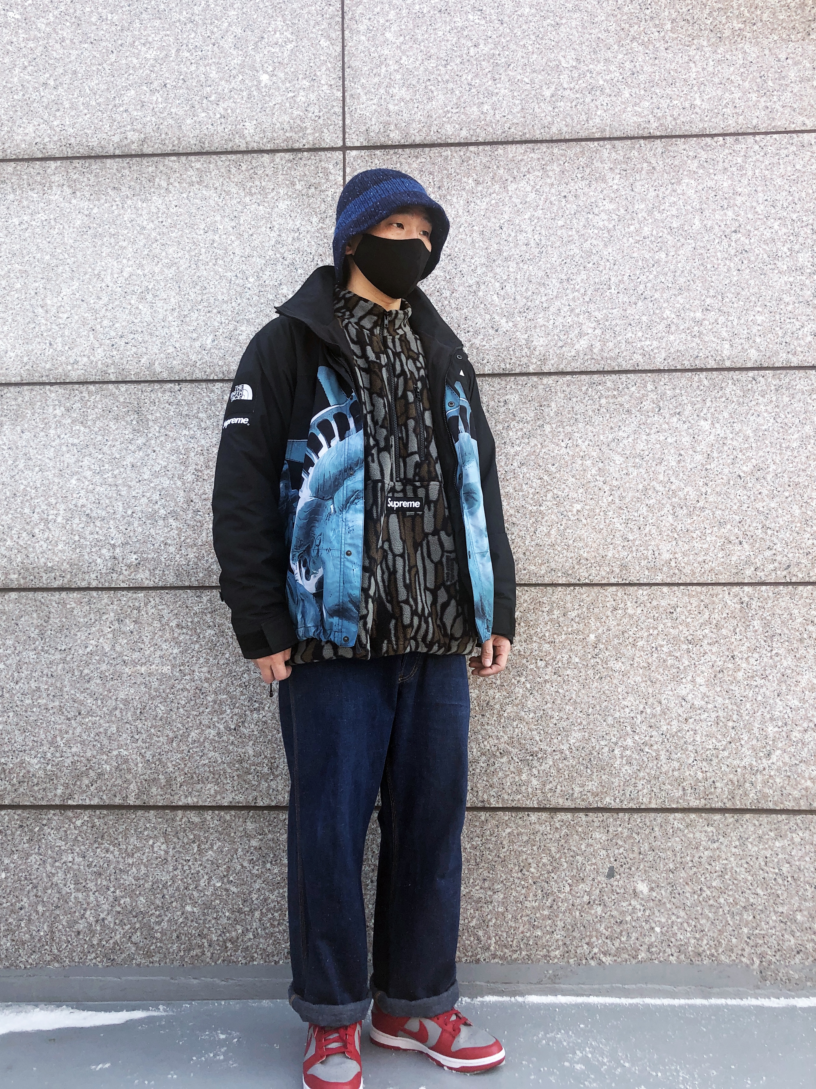 Supreme x The North Face Statue of Liberty Mountain Jacket Black - 19FW, Supreme Polartec Half Zip Pullover Olive Treebark Camo - 20FW 착용 스타일