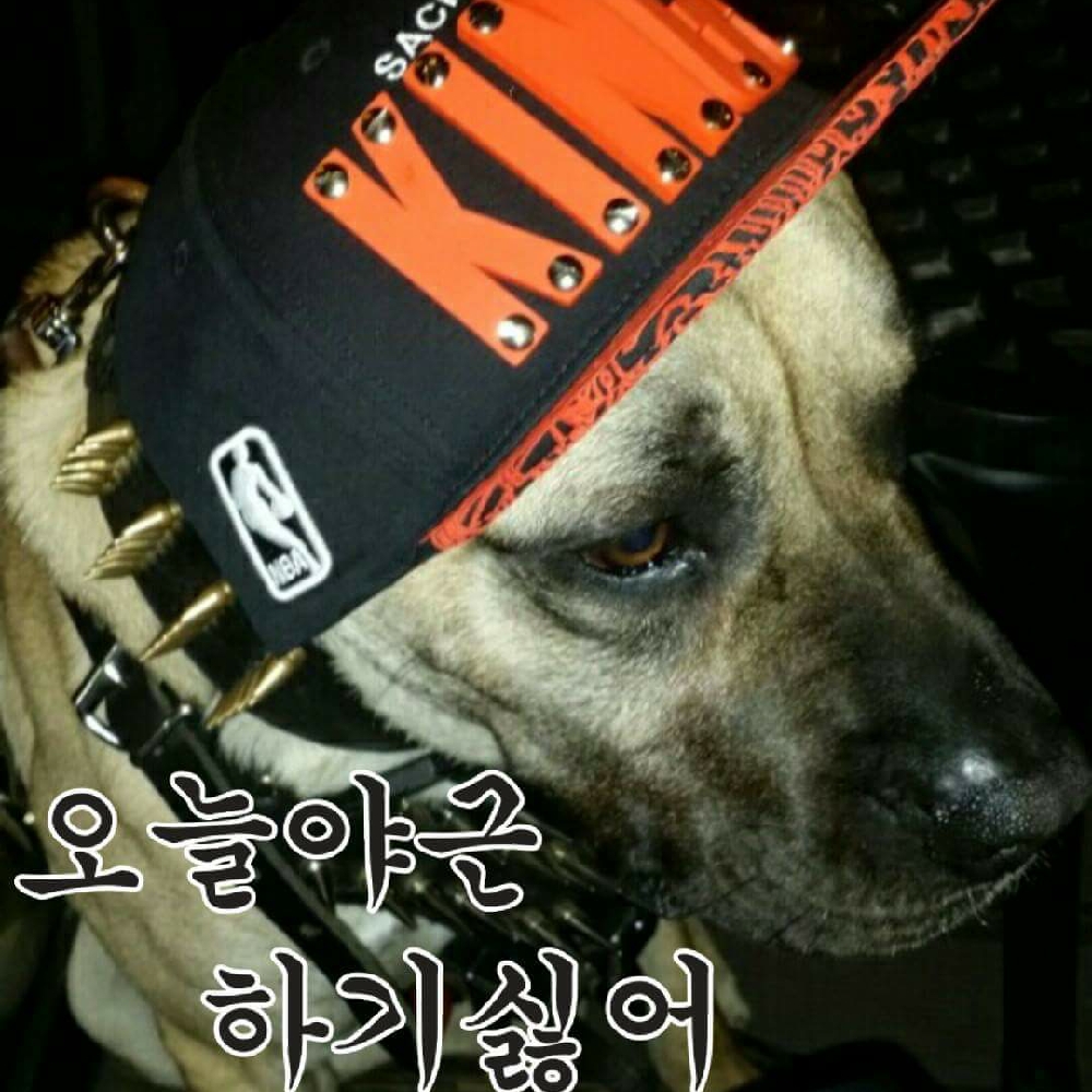 KREAM 프로필 이미지