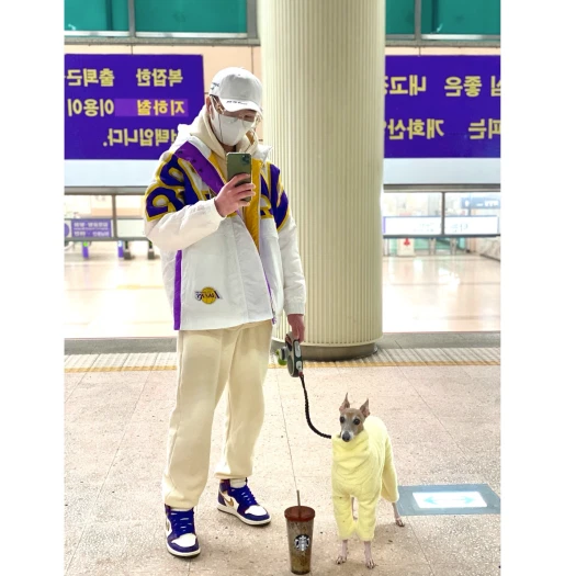 스타일 카드