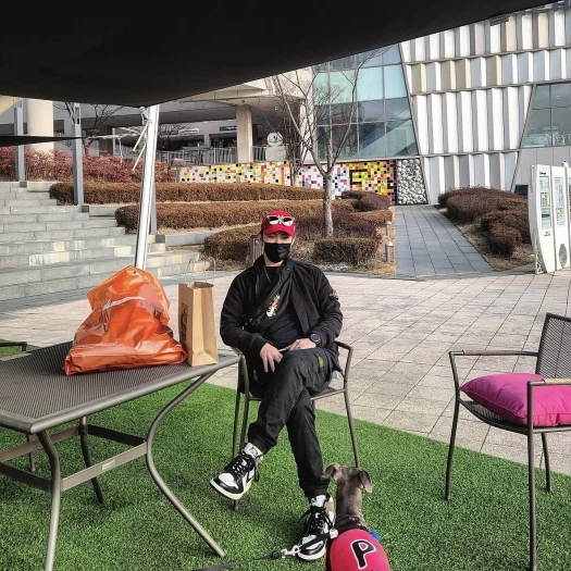 스타일 카드