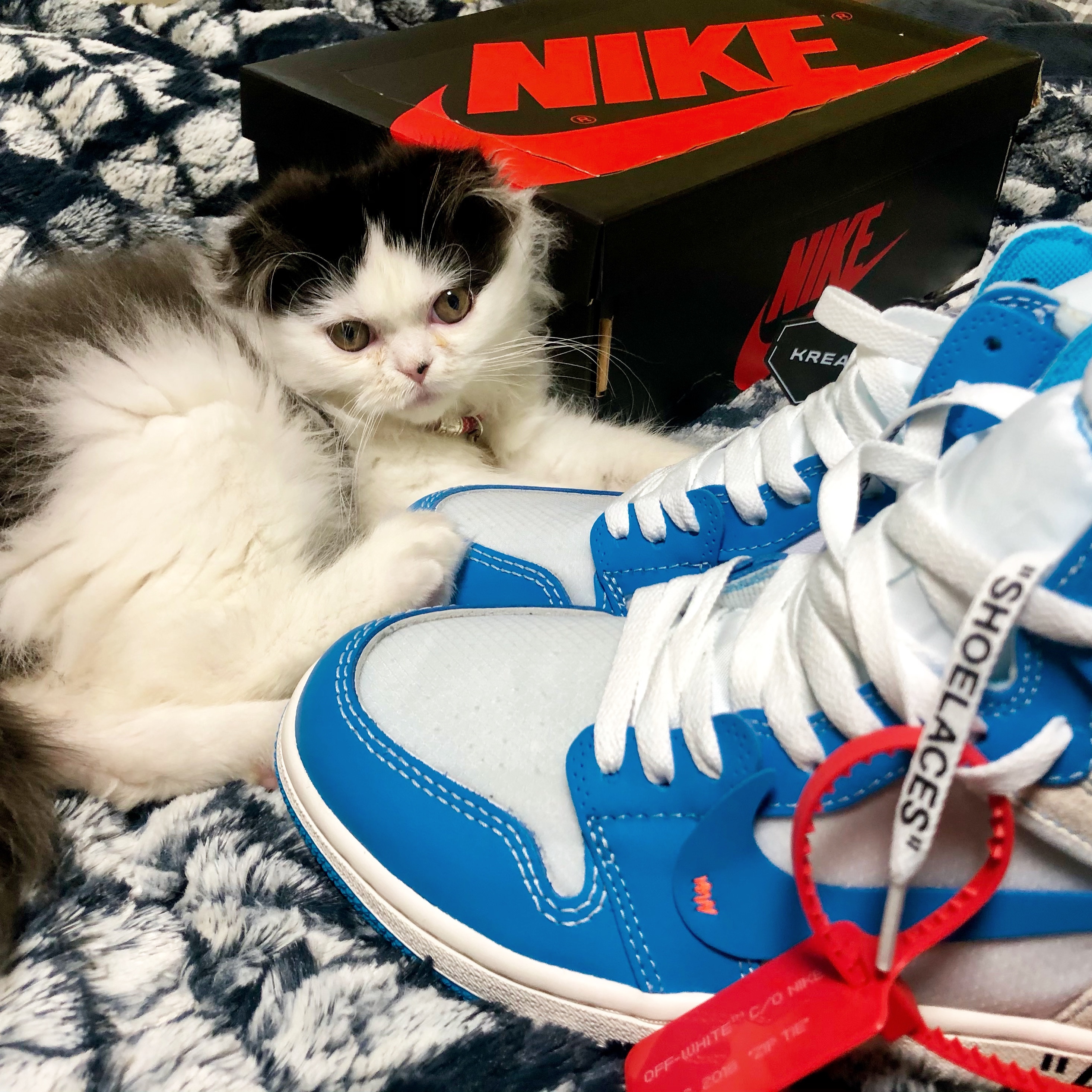 Jordan 1 x Off-White Retro High University Blue 착용 스타일
