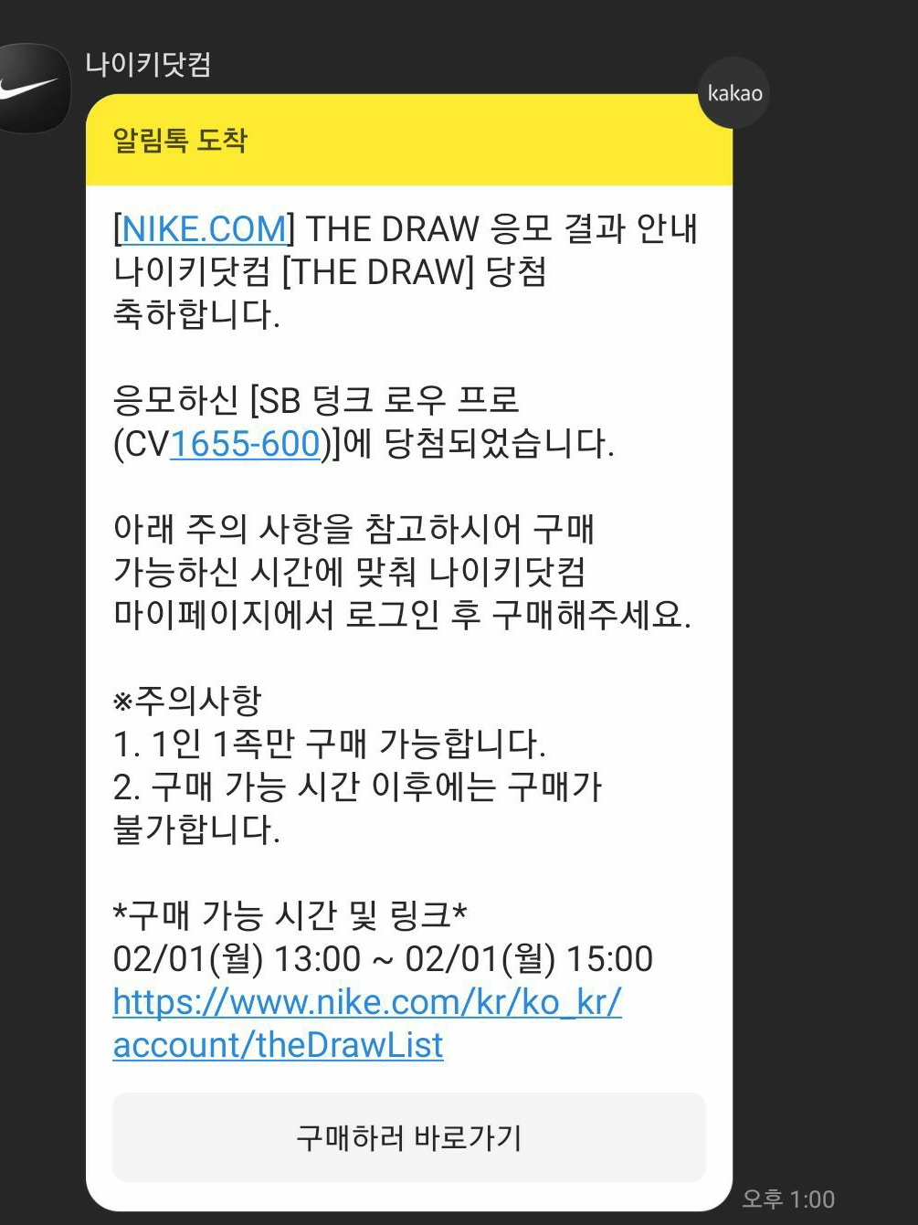 Nike SB Dunk Low Pro Pink Pig 착용 스타일