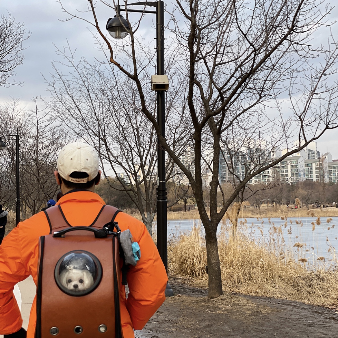 (W) New Balance 327 Oak Leaf Green 착용 스타일 - 3