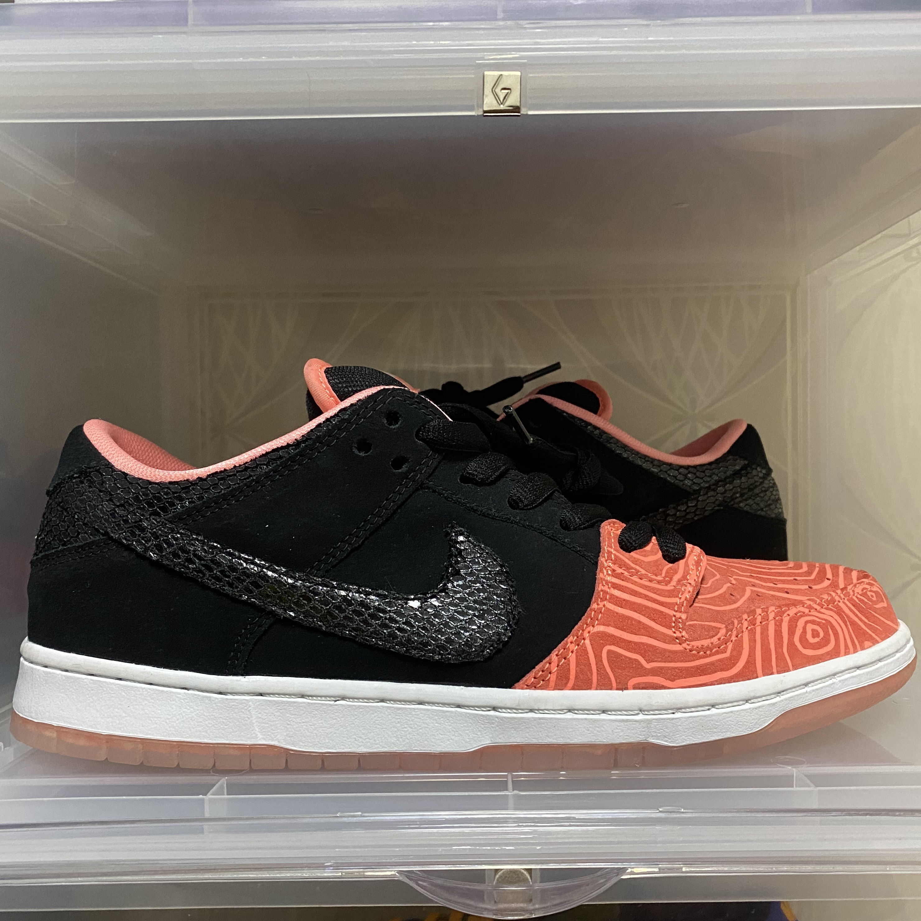 Nike Dunk SB Low Premier Fish Ladder 착용 스타일