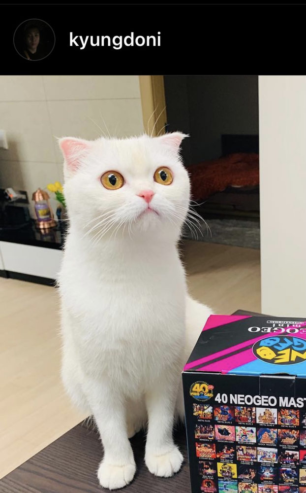 KREAM 프로필 이미지