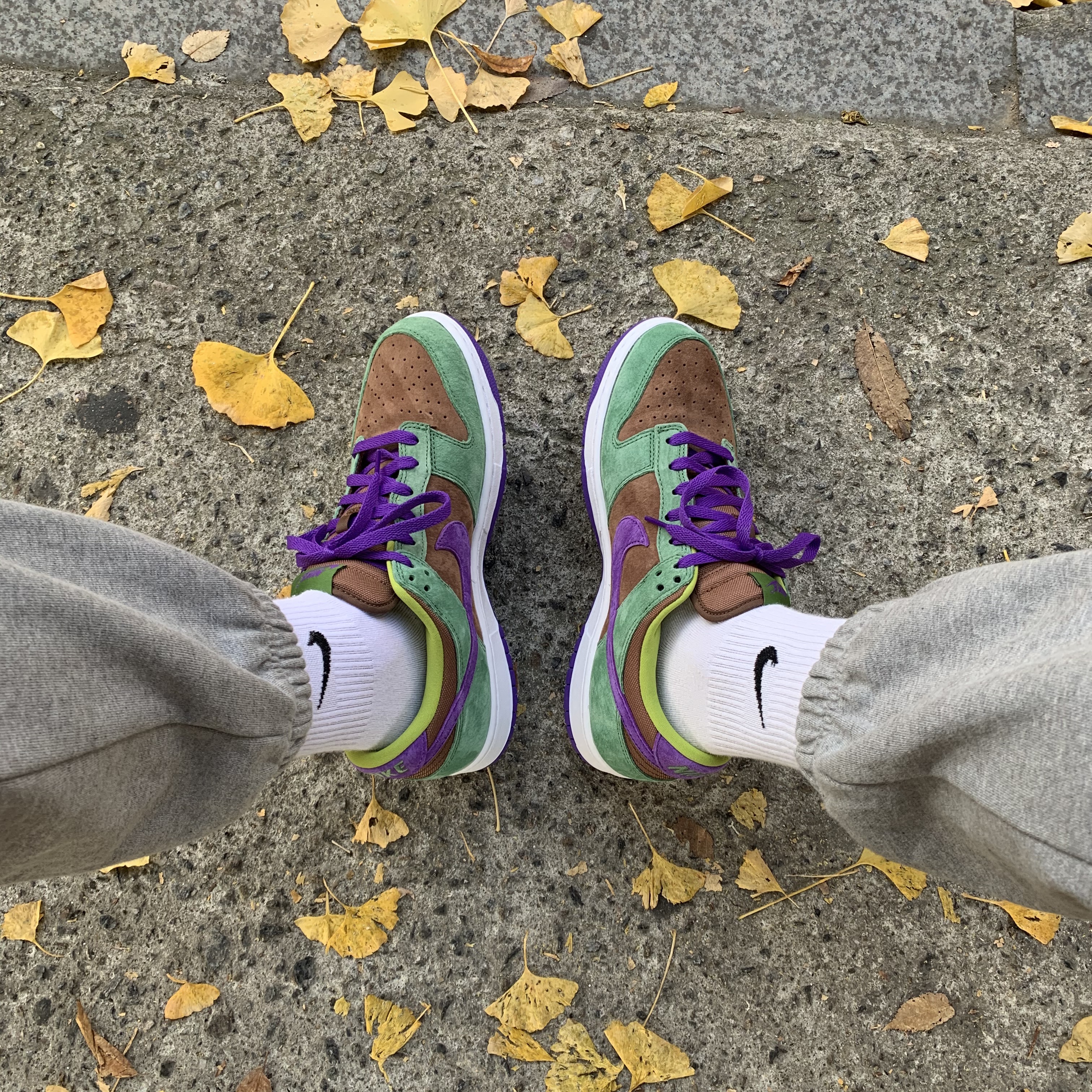 Nike Dunk Low SP Veneer 착용 스타일