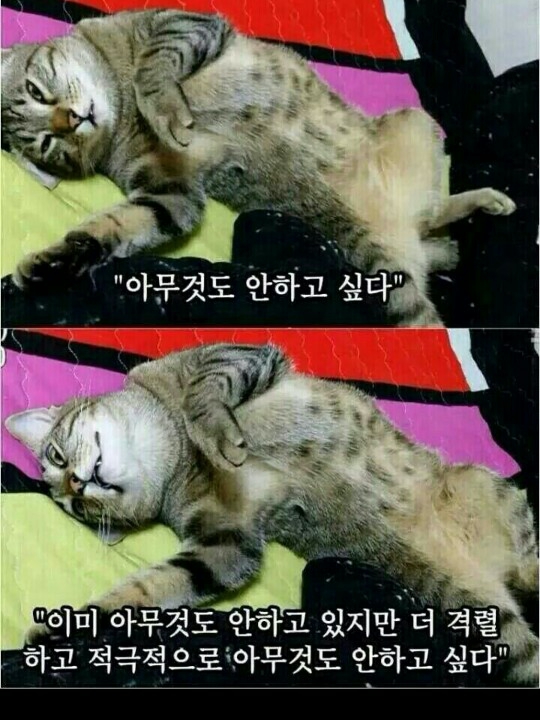 qoantl님의 스타일