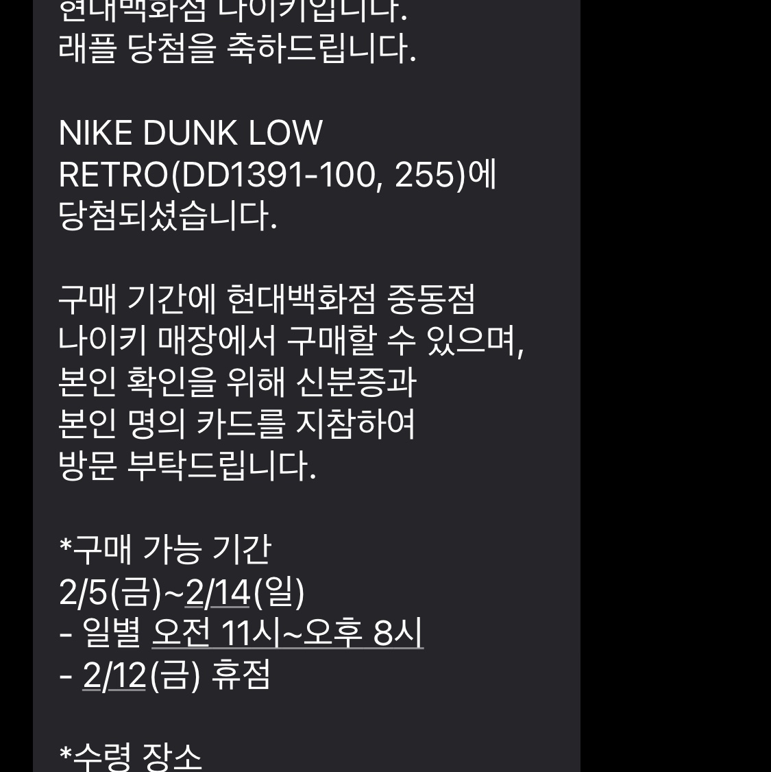 Nike Dunk Low Retro Black 착용 스타일