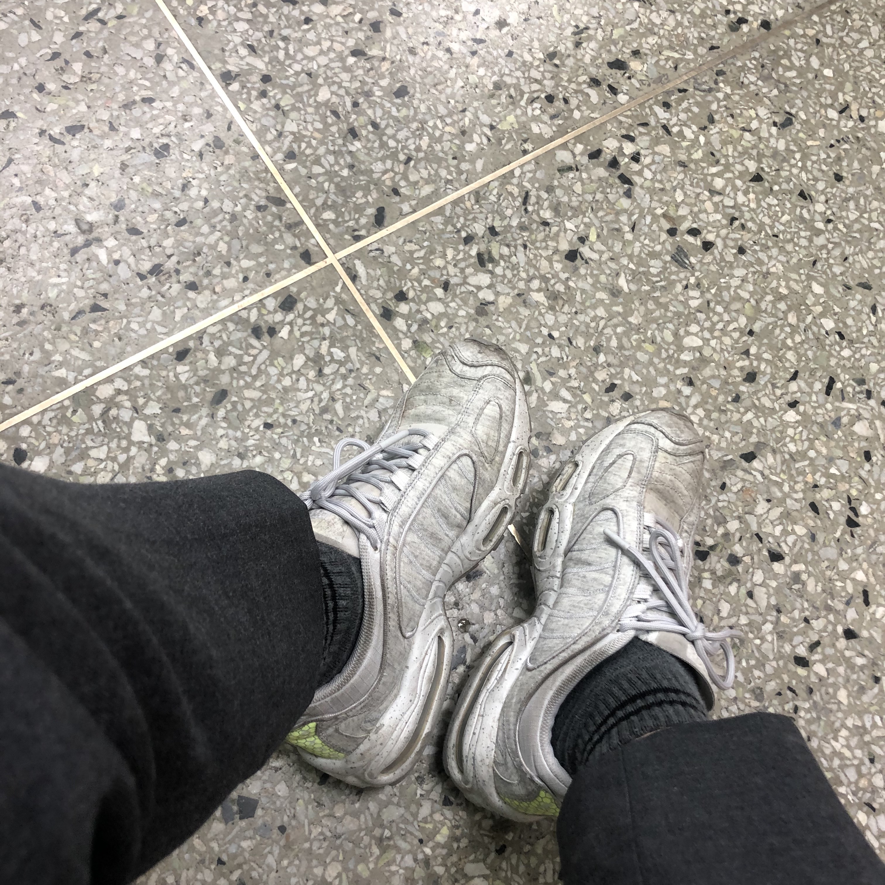 Nike Air Max 95 Grape Snakeskin 착용 스타일