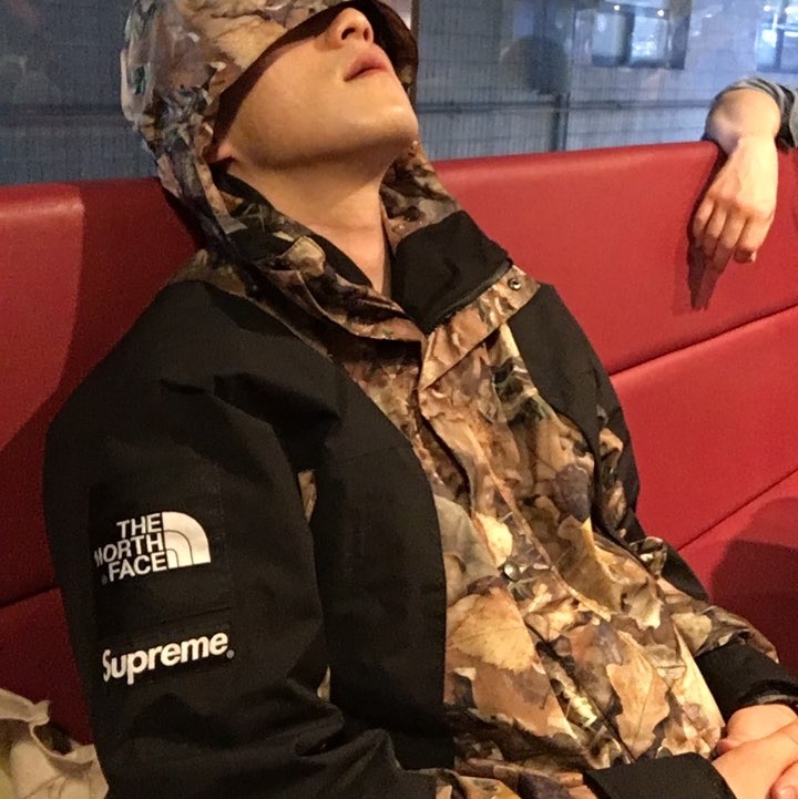 Supreme x The North Face Mountain Light Jacket Leaves - 16FW 착용 스타일