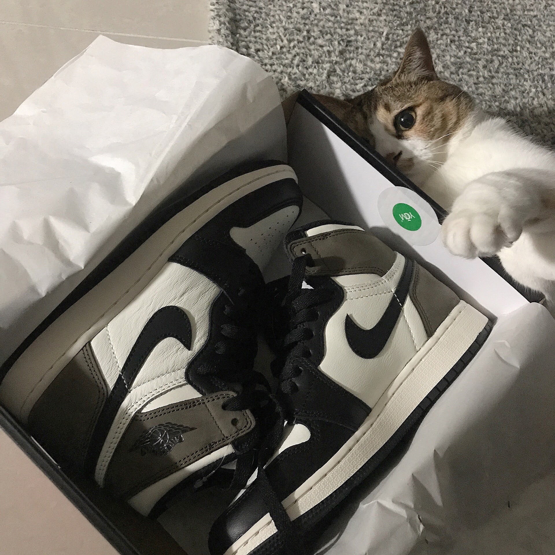 (GS) Jordan 1 Retro High OG Black Mocha 착용 스타일 - 2