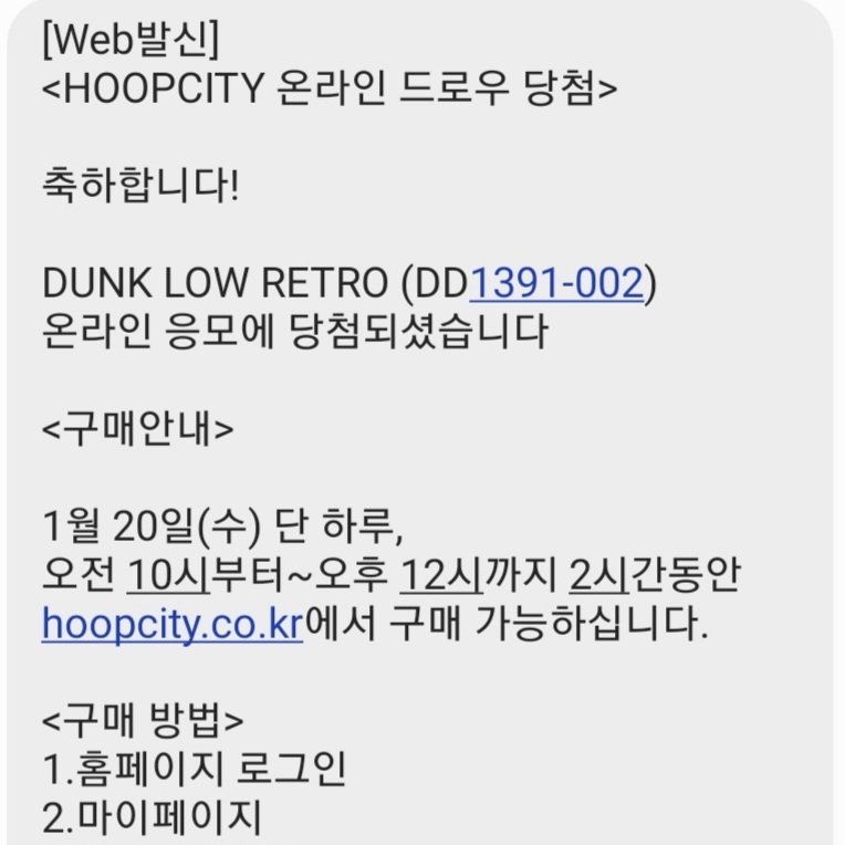 Nike Dunk Low Retro Medium Grey 착용 스타일 - 4
