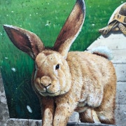 KREAM 프로필 이미지