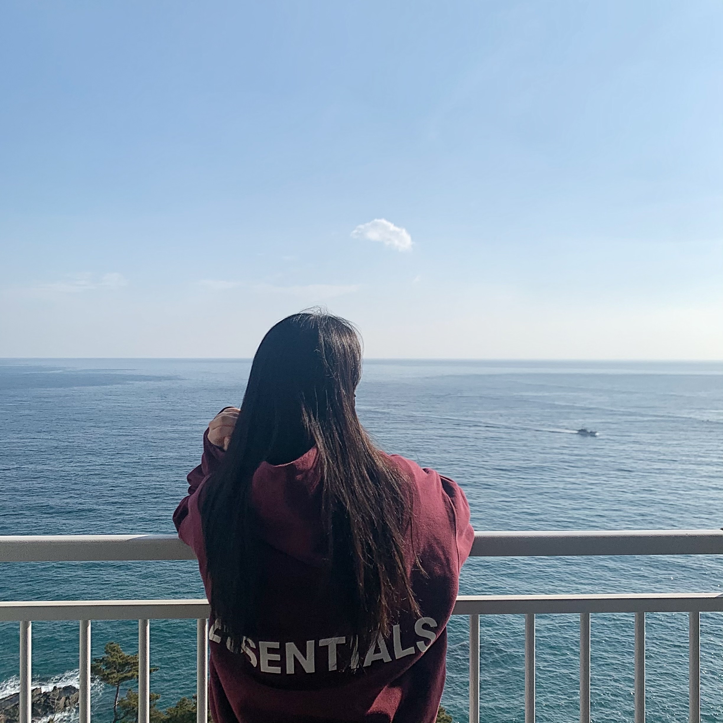 라이러브댕댕 ♥️님의 스타일