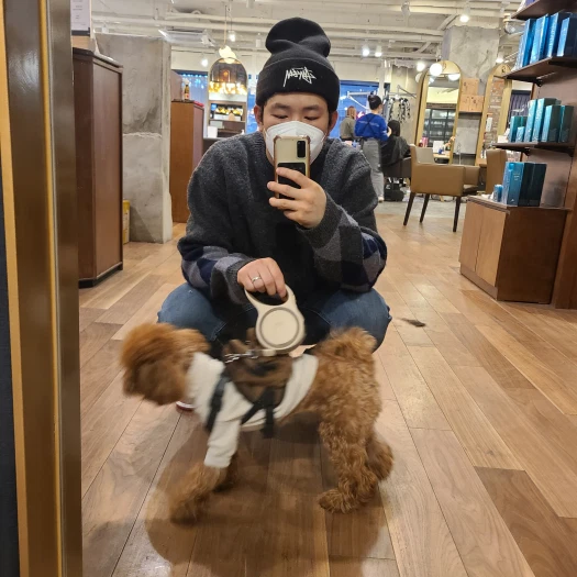 스타일 카드