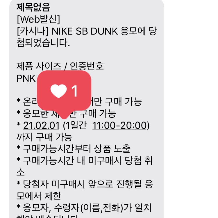 Nike SB Dunk Low Pro Pink Pig 착용 스타일
