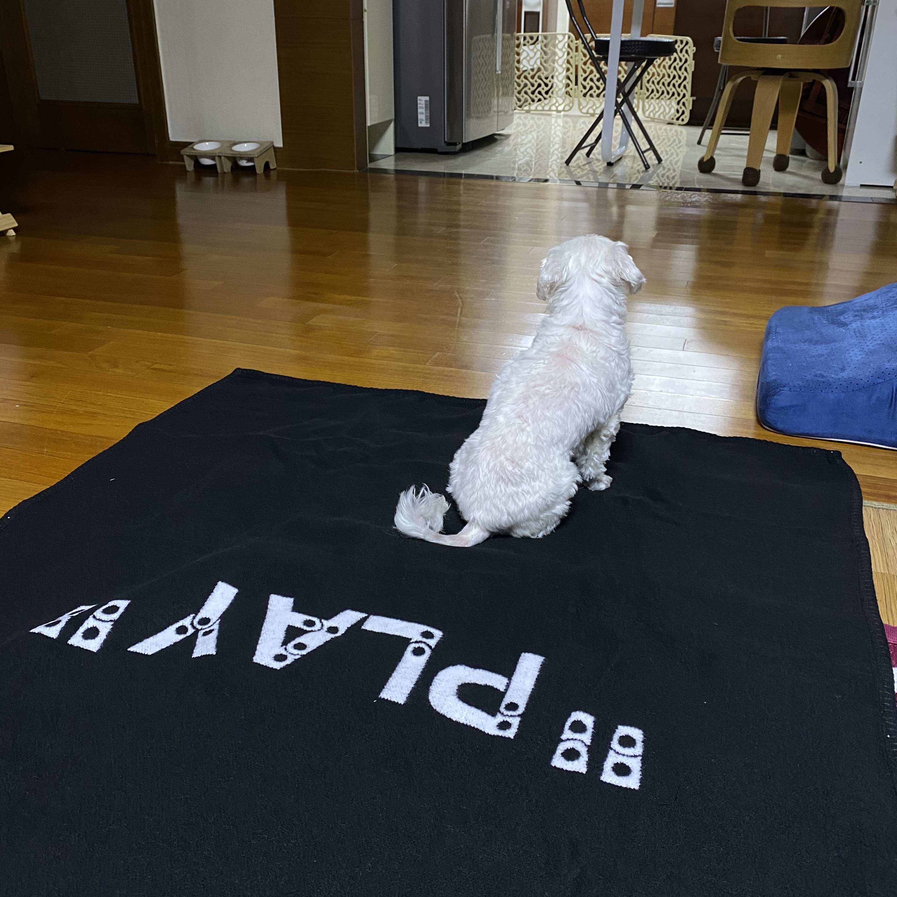 Off-White x Amore Pacific Play Kit 착용 스타일 - 2
