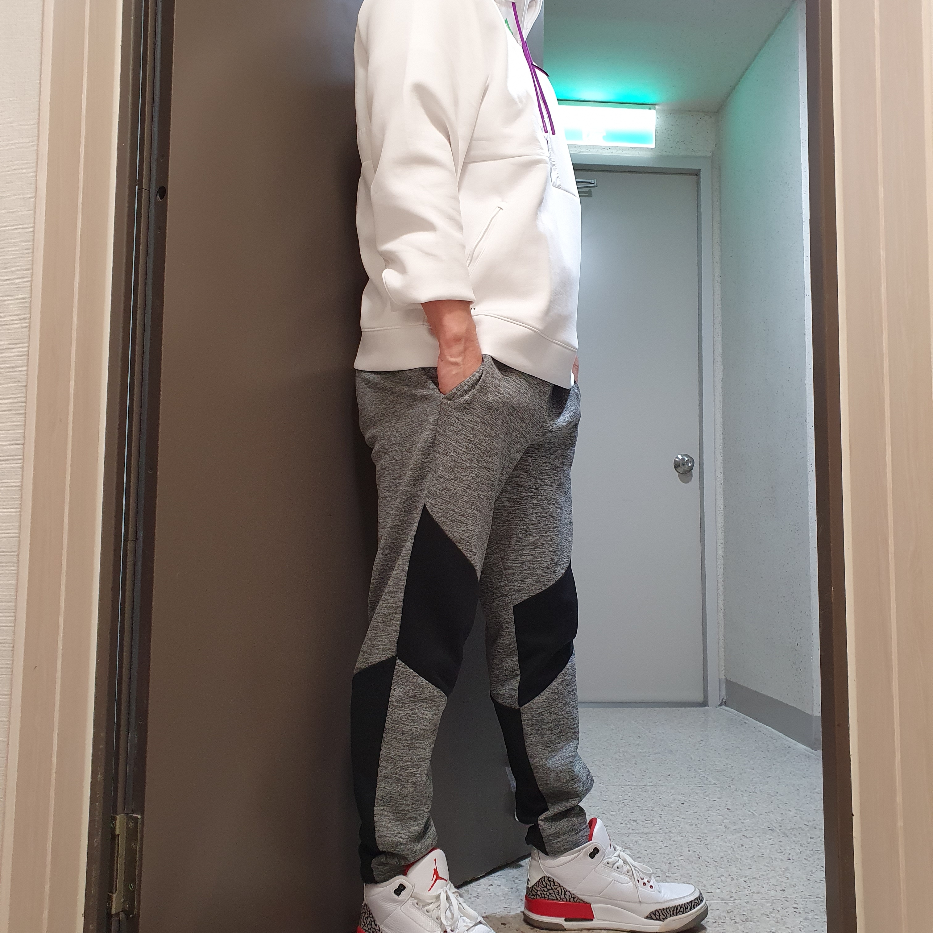 Jordan 3 Retro Hall of Fame 착용 스타일