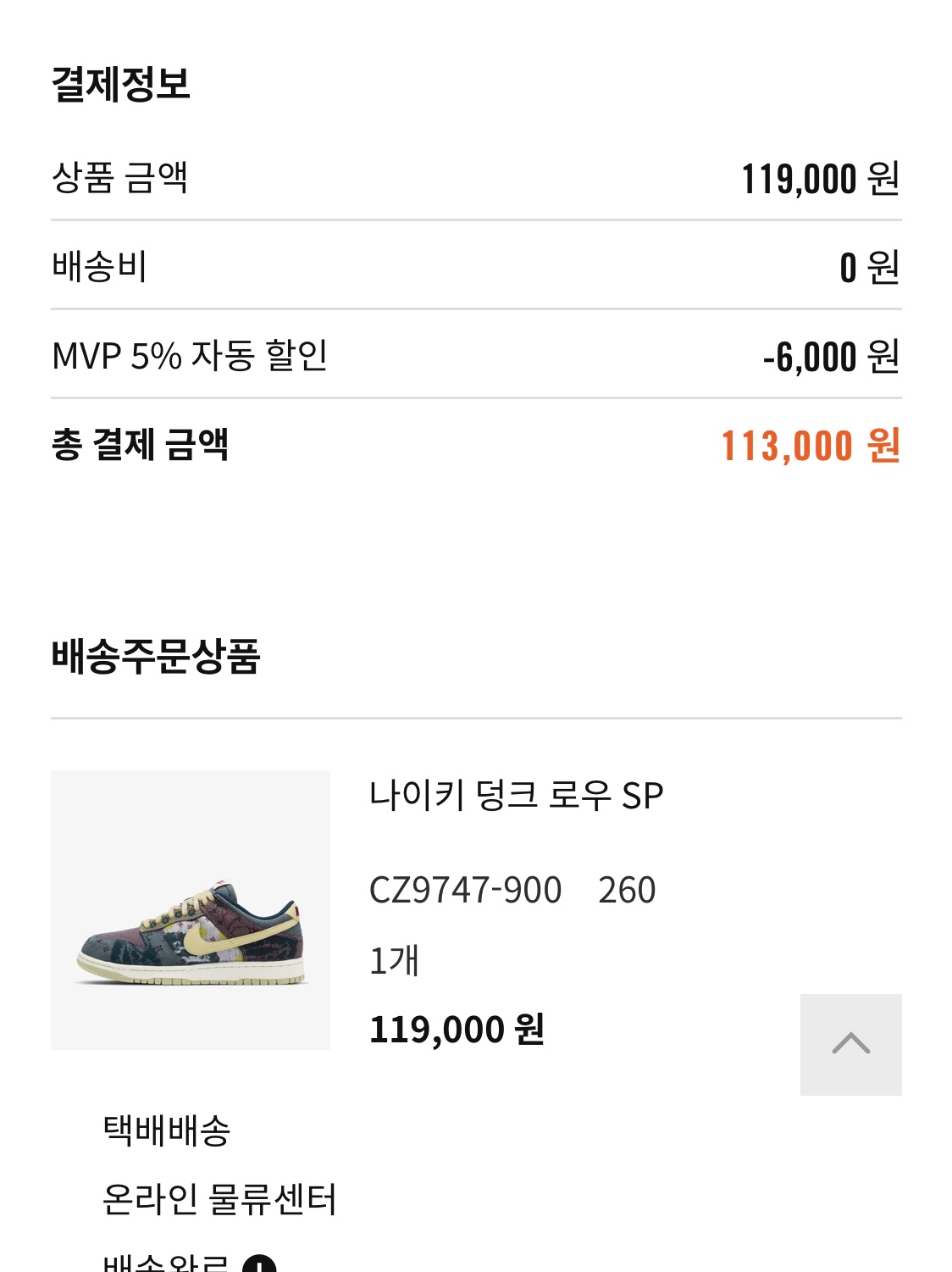 Nike Dunk Low SP Community Garden 착용 스타일