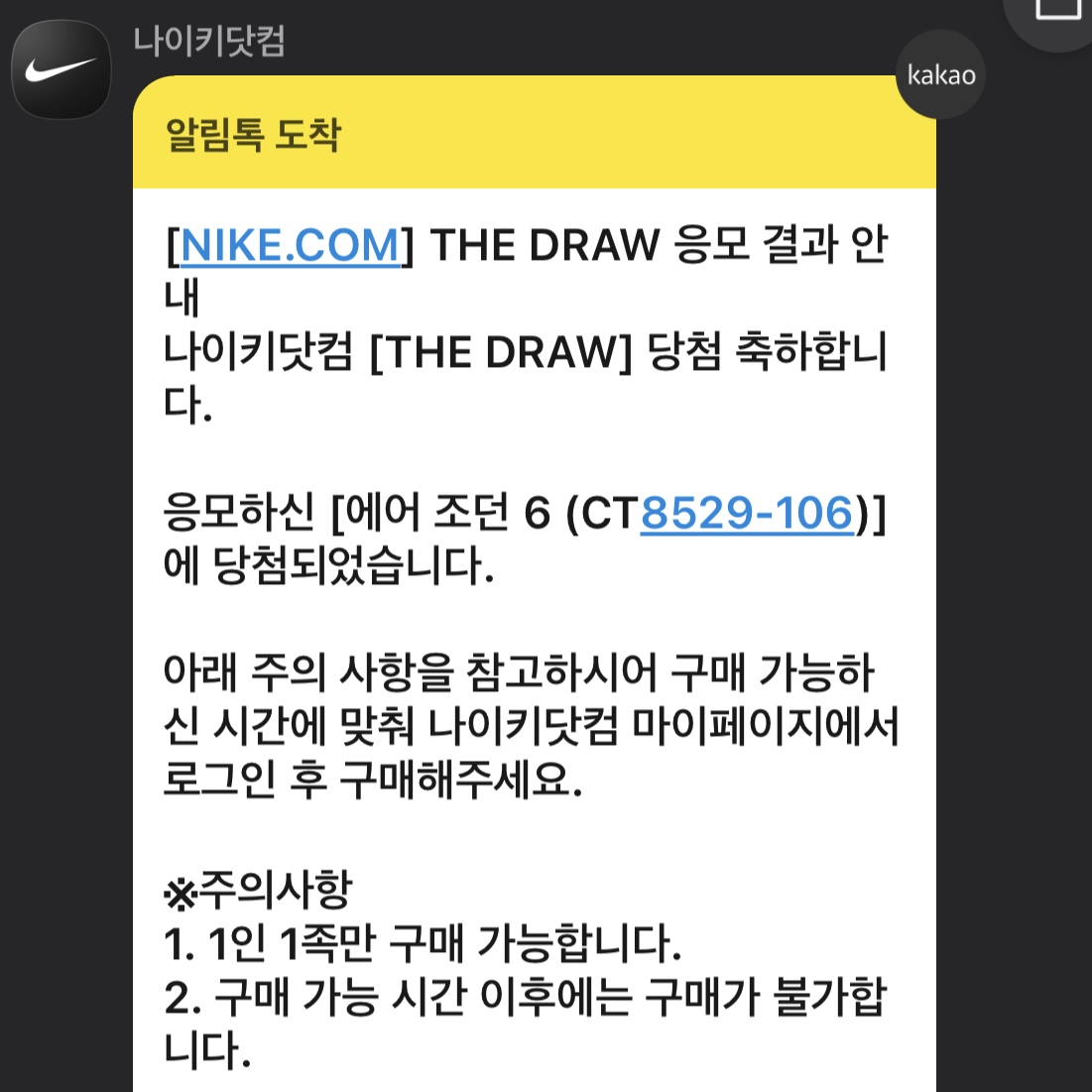 Jordan 6 Retro Carmine 2021 착용 스타일