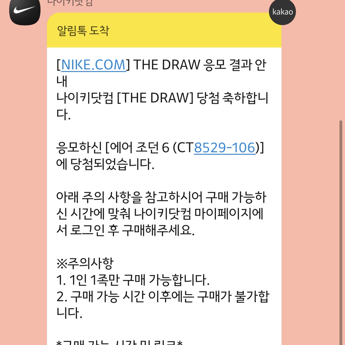 Jordan 6 Retro Carmine 2021 착용 스타일