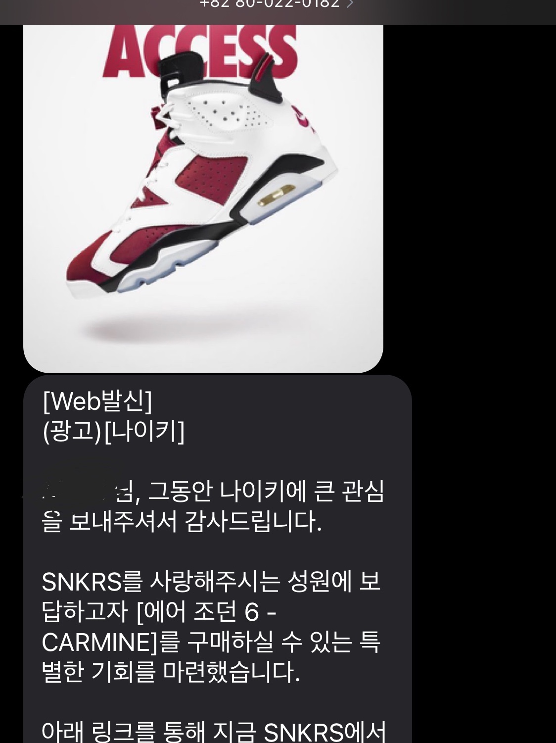 Jordan 6 Retro Carmine 2021 착용 스타일