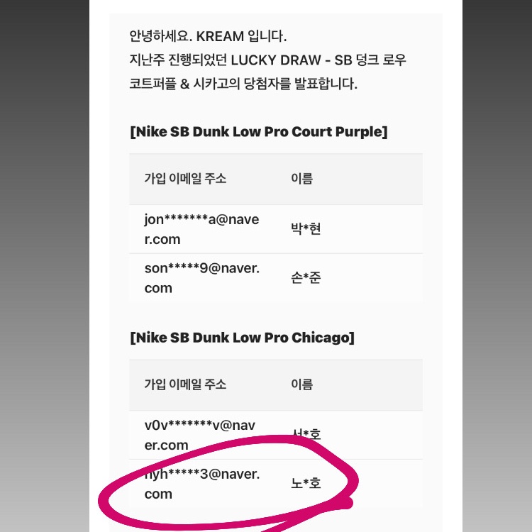 Nike SB Dunk Low Pro Chicago 착용 스타일