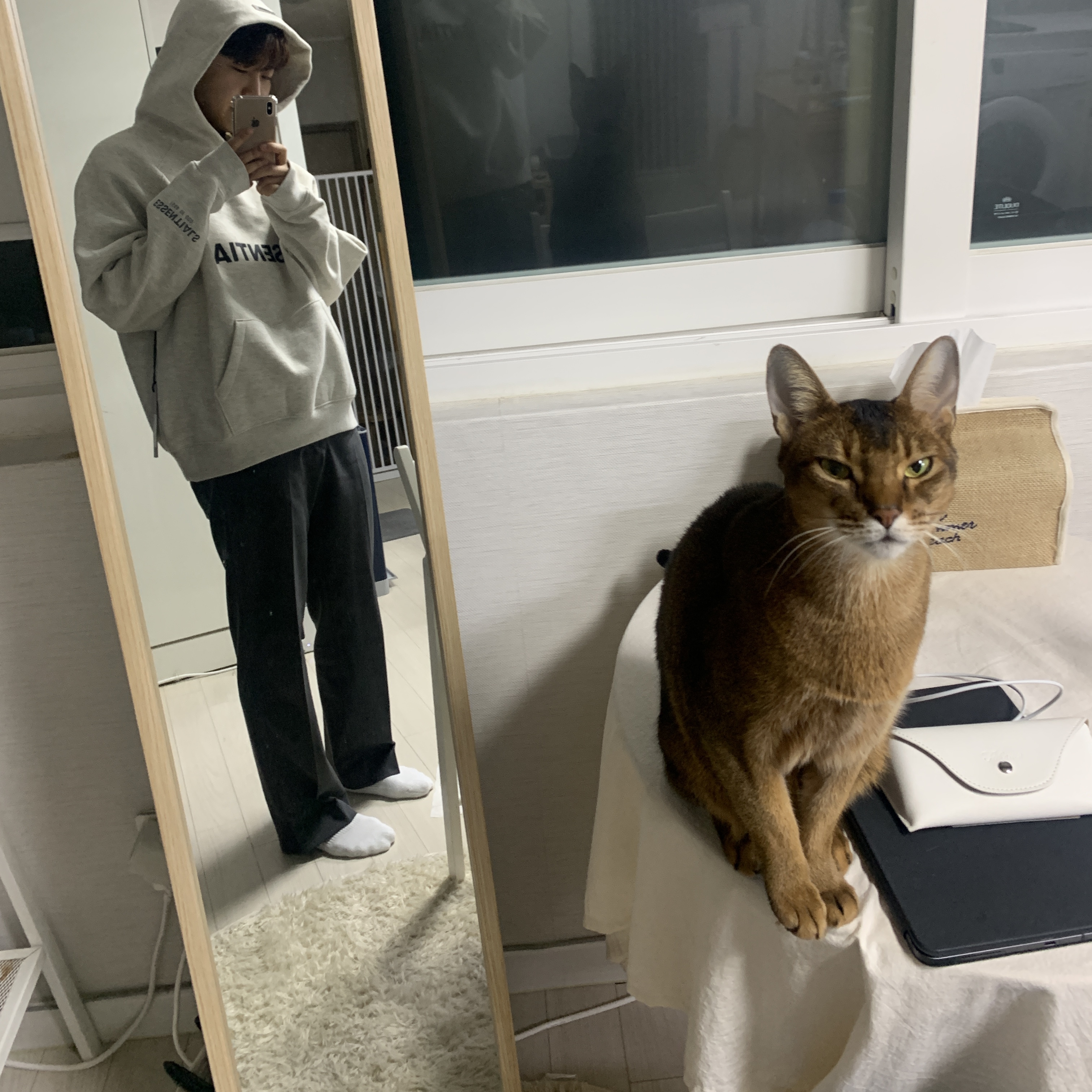 Essentials 3D Silicon Applique Pullover Hoodie Oatmeal/Oatmeal Heather/Light Heather Oatmeal 2020 착용 스타일 - 2