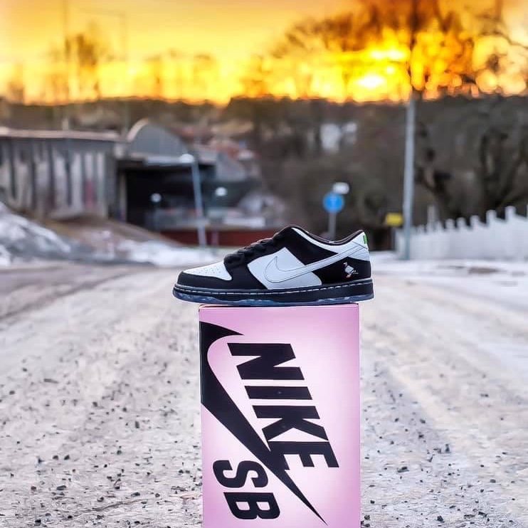 Nike x Staple SB Dunk Low Panda Pigeon 착용 스타일