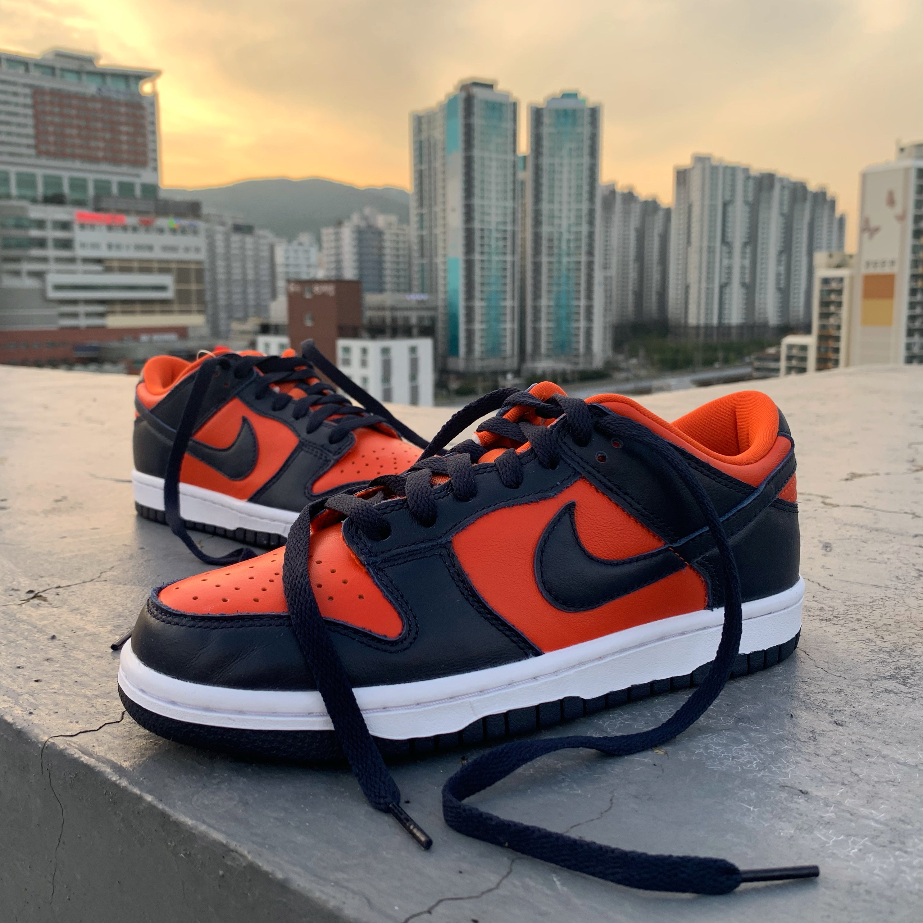 Nike Dunk Low SP Champ Colors 착용 스타일