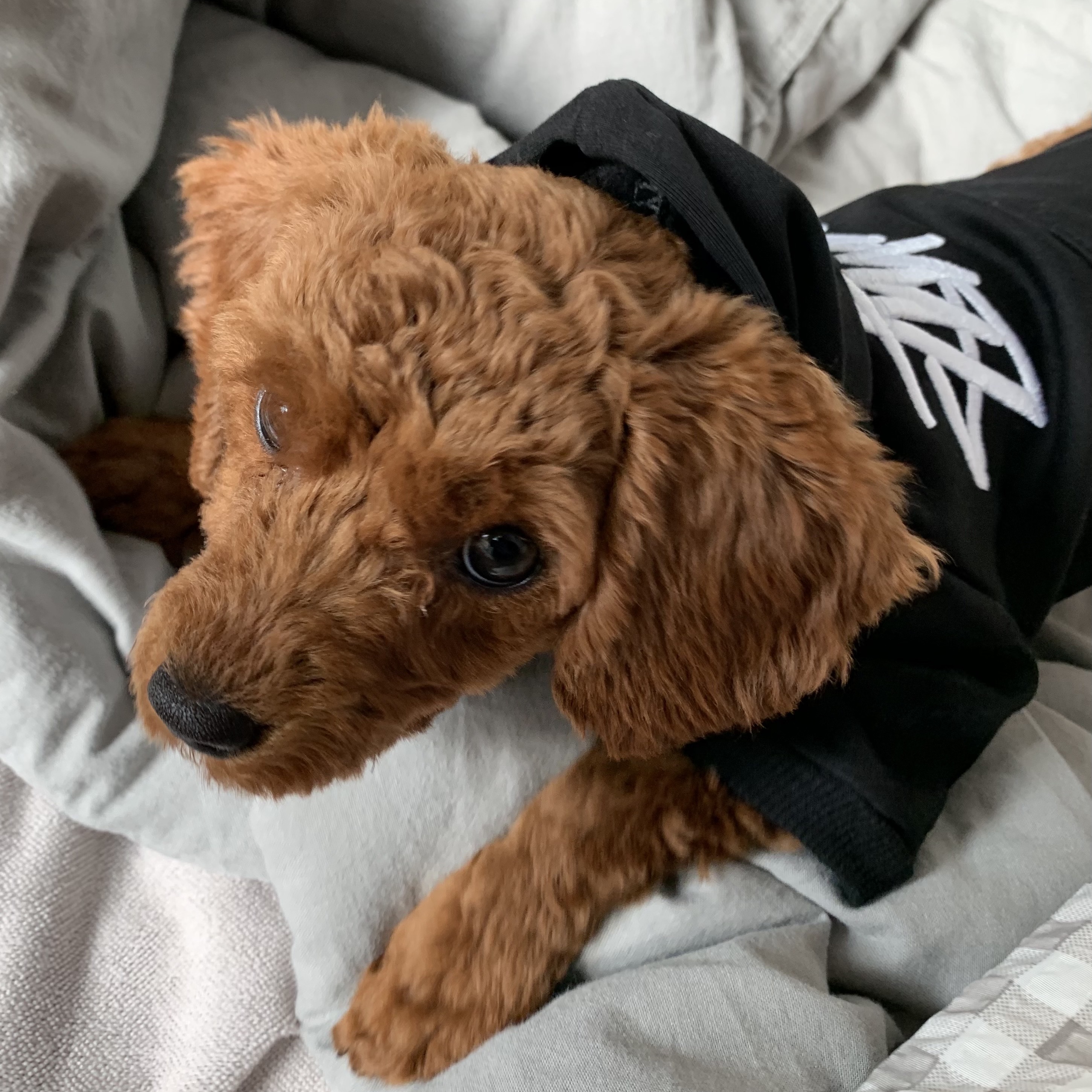 Stussy x Our Legacy Better Than Another Hood Black 착용 스타일 - 2