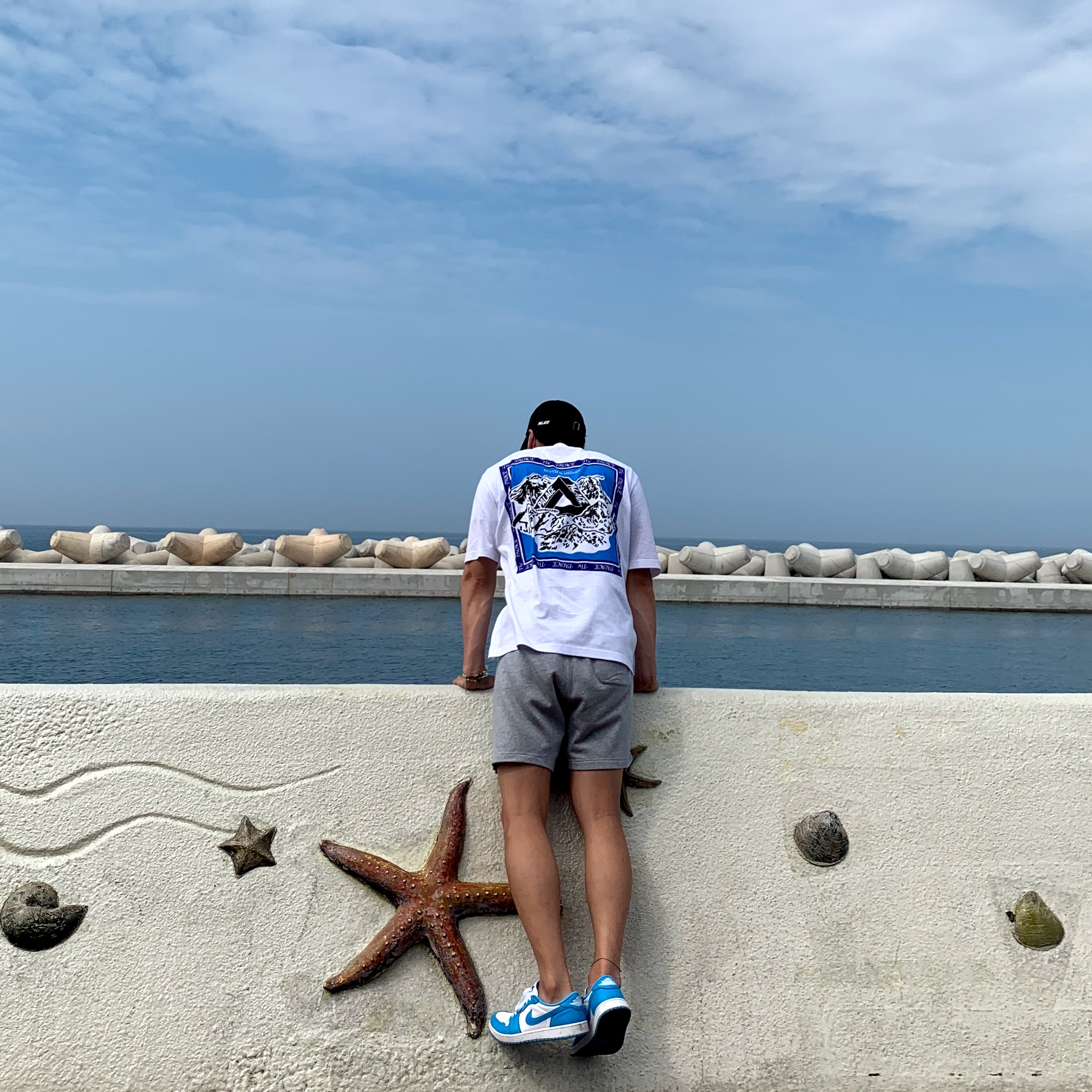 Jordan 1 Low SB UNC, Palace Poplin P 6-Panel Black - 21SS 착용 스타일