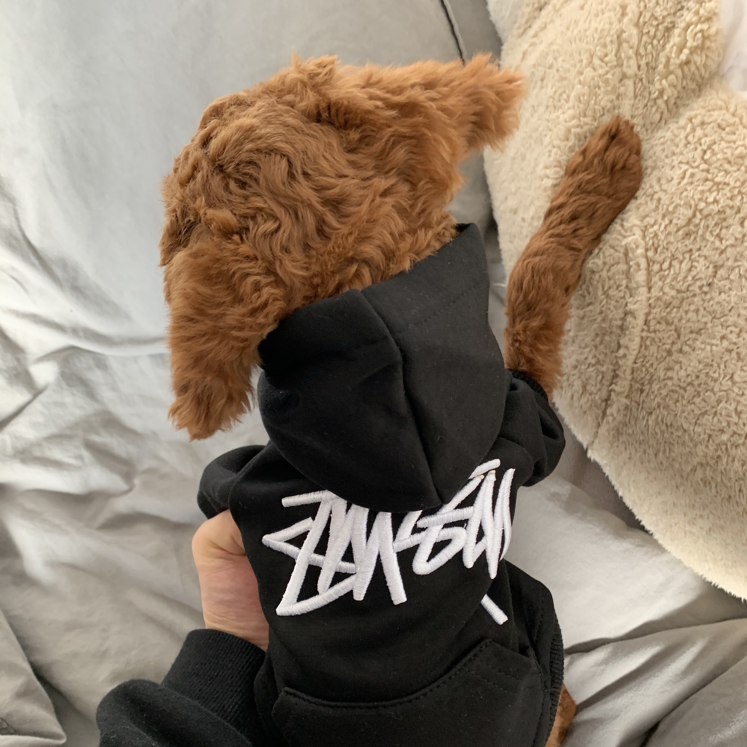 Stussy x Our Legacy Better Than Another Hood Black 착용 스타일 - 5